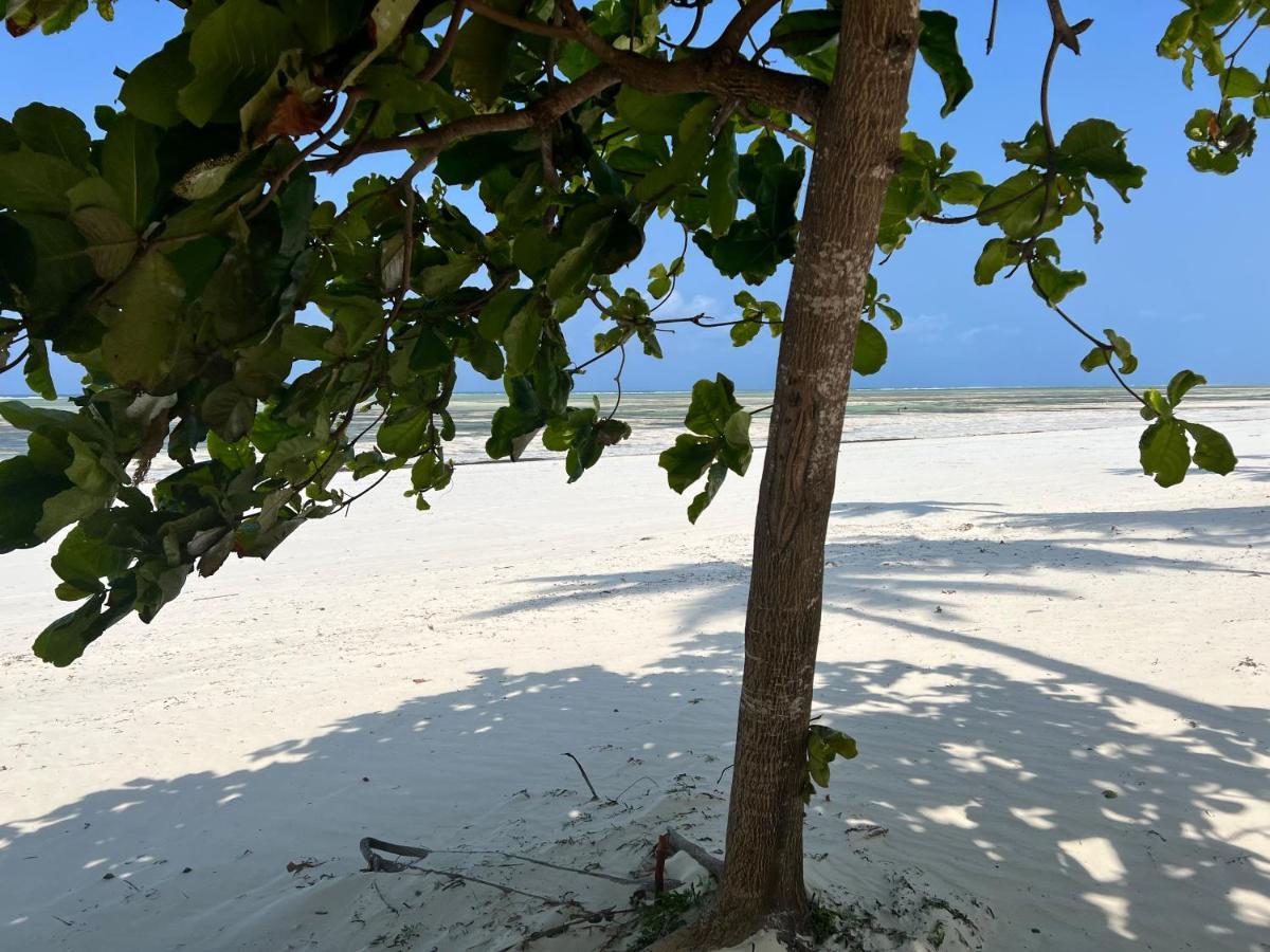 Five Palms Bwejuu Hotel Bagian luar foto